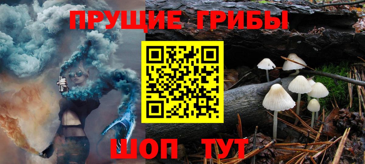 Галлюциногенные грибы Psilocybine cubensis Щёлково